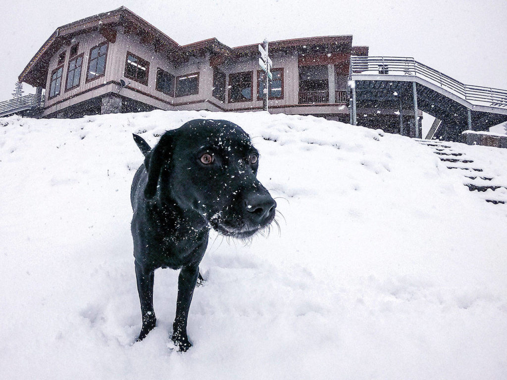 Opening day at Stevens Pass is tentatively set for Dec. 4. Snow has already started to fall there this year. (Stevens Pass)
