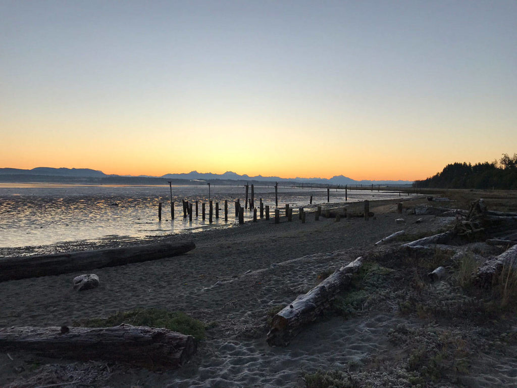 The ghosts of English Boom stand watch over this Camano park ...