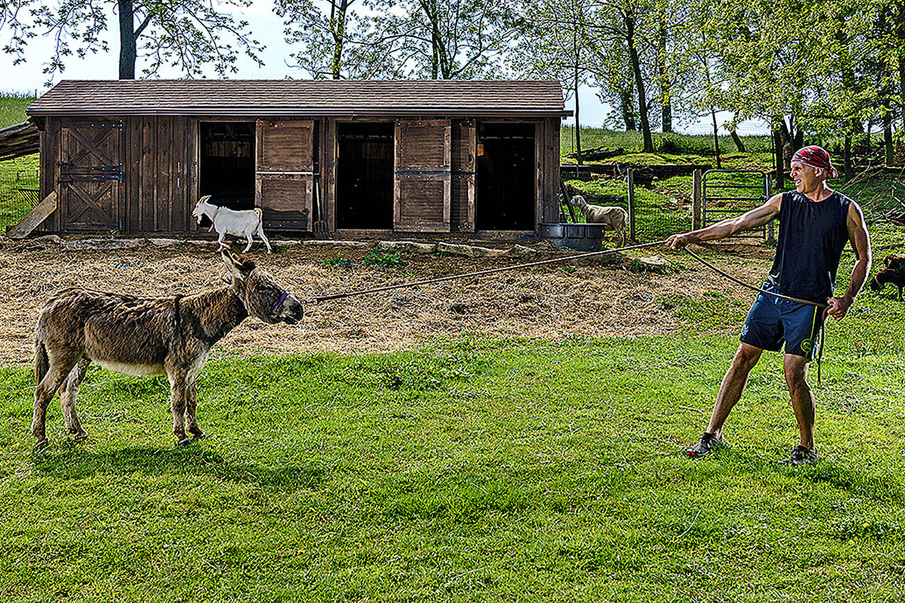 A neglected donkey gets a new purpose in life: running