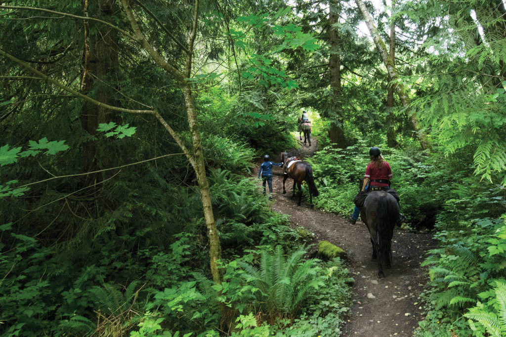 Most of the park’s maze of trails are unsigned. (Andy Bronson/Herald file)
