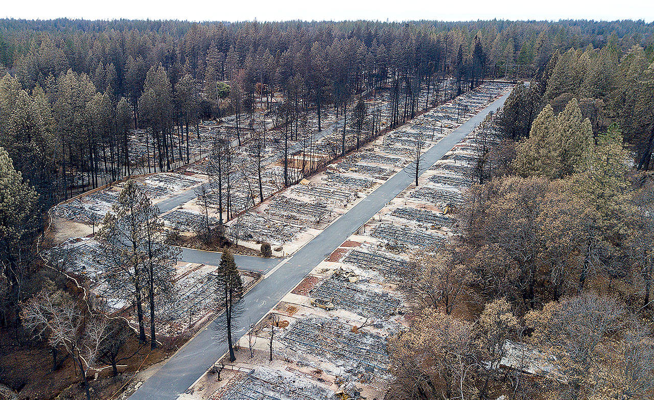 Homes leveled by the Camp Fire line the Ridgewood Mobile Home Park retirement community in Paradise, California, on Dec. 13. (AP Photo/Noah Berger, File)