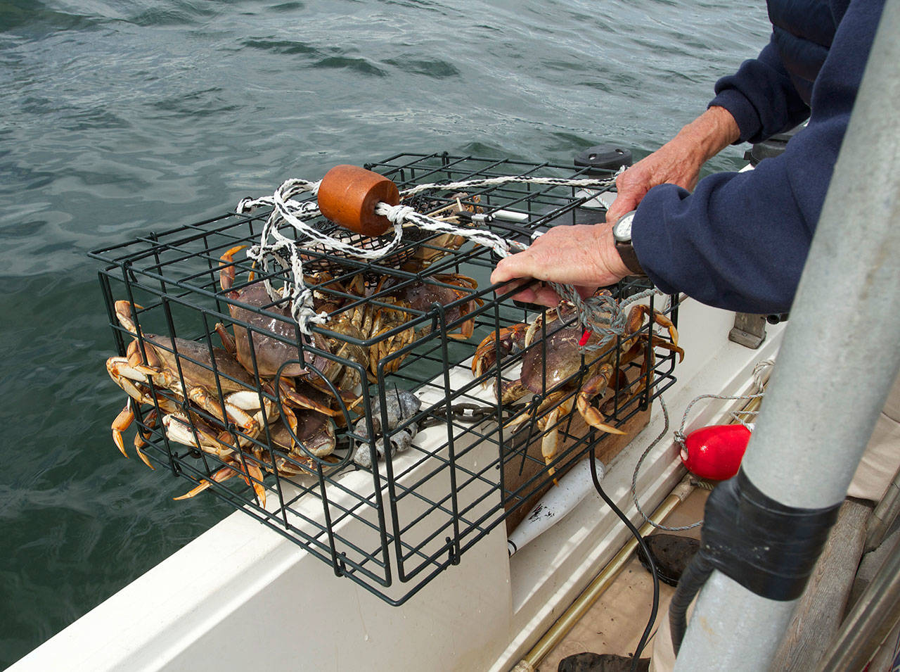 Crabbing season in local waters closing this week