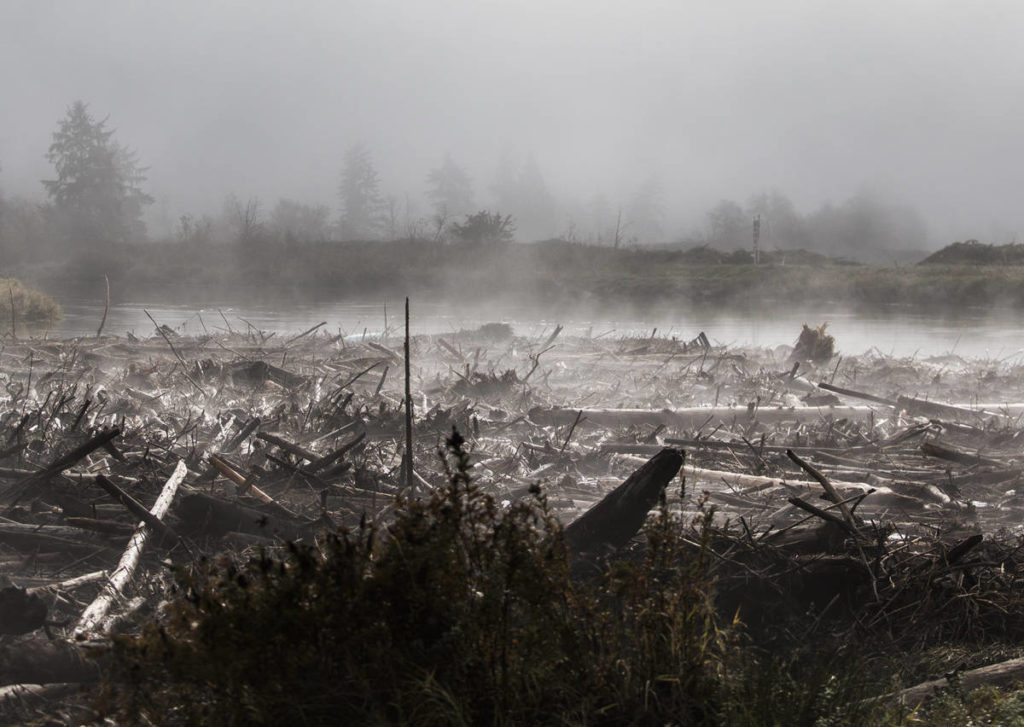 Steam rises from logs backed up in Ebey Slough along the eastbound lanes of State Route 2 on Wednesday in Everett. (Olivia Vanni / The Herald)
