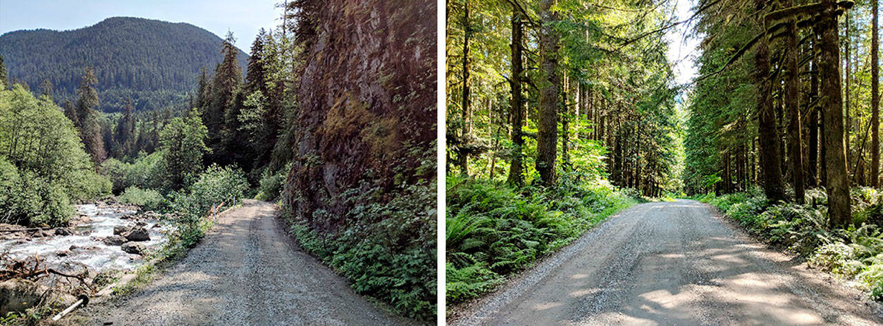 Parts of the Mountain Loop Highway are paved and parts are gravel. (Federal Lands Highway, WSDOT)