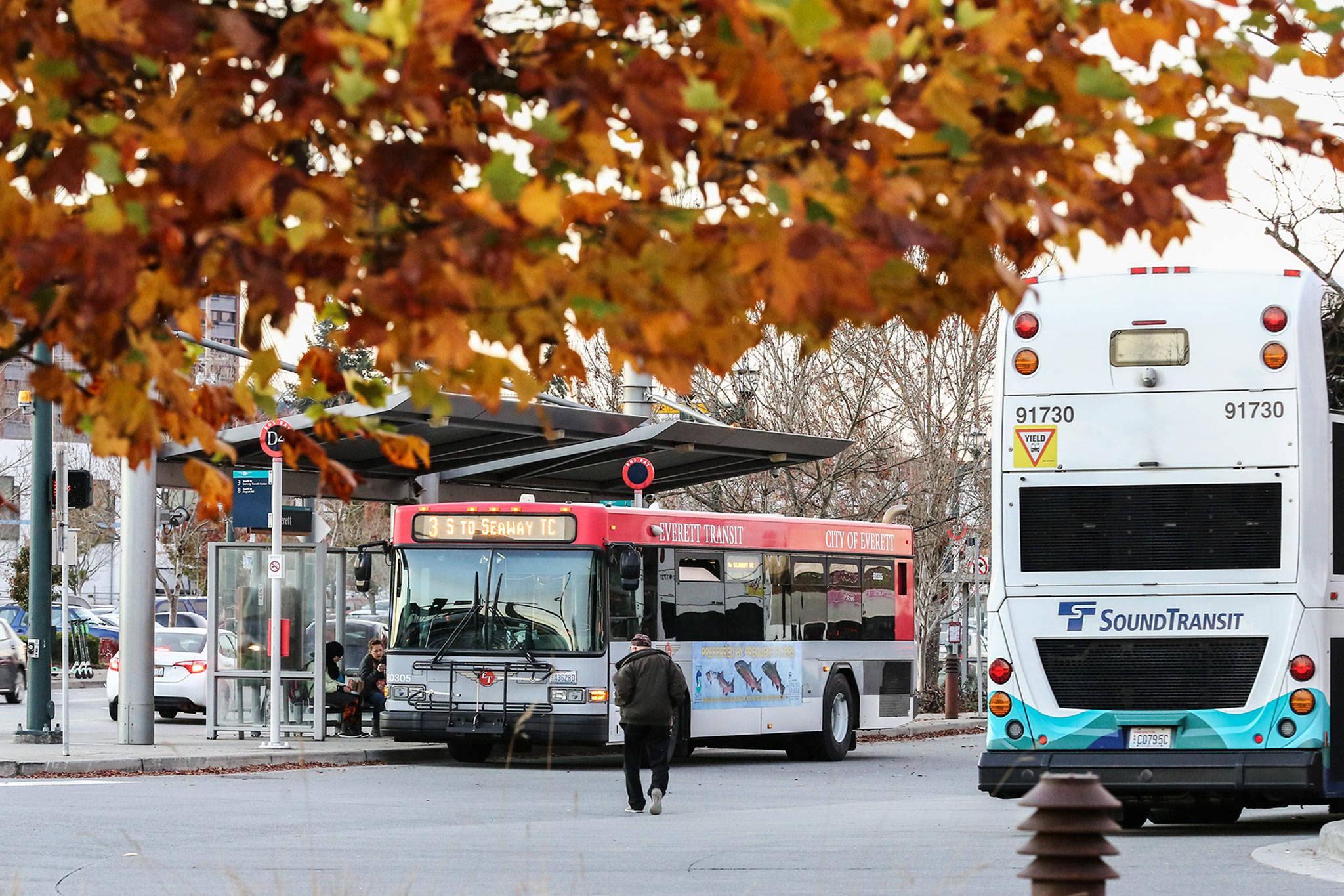 Sound Transit and Everett buses line up at Everett Station on Thursday. (Kevin Clark / The Herald)