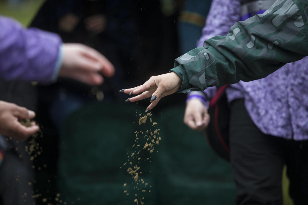 Family and friends sprinkle dirt over the casket of Stan Jones Sr. on the Tulalip Indian Reservation. Jones, 93, the Tulalip Tribes longest serving board member and chairman died Nov. 5. (Andy Bronson / The Herald)

