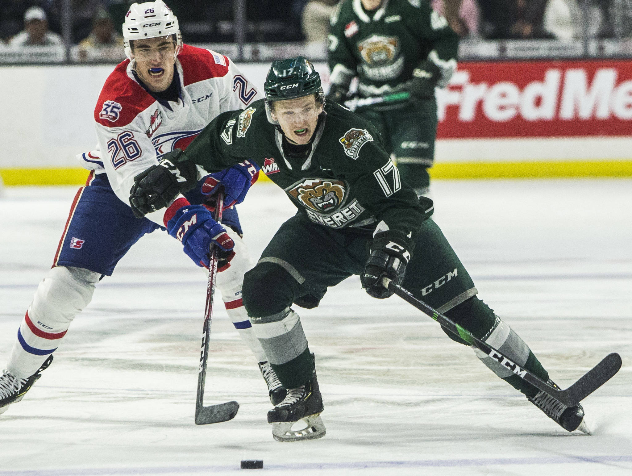 Silvertips’ Jackson Berezowski beats Spokane’s Jack Finley to the puck during the game against the Spokane Chiefs on Nov. 17, 2019 in Everett, Wash. (Olivia Vanni / The Herald)