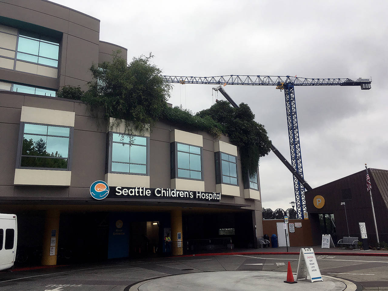 Seattle Children’s hospital is closing all operating rooms on its Seattle campus for five days. (Sue Misao / Herald file)
