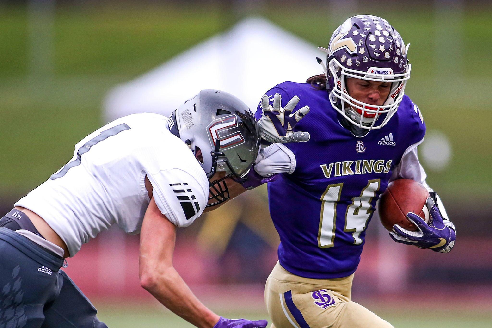 Lake Stevens is one of four local high school football teams playing Saturday in their respective state quarterfinals. (Kevin Clark / The Herald)