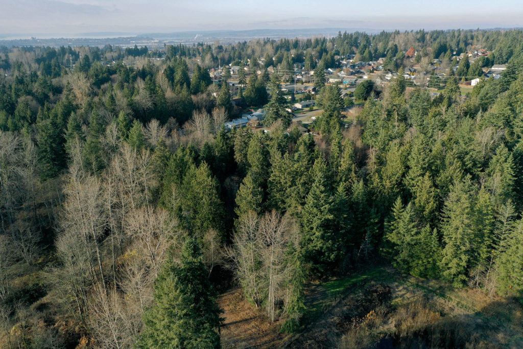 A portion of the site of the proposed Lake Stevens Costco at the intersection of Highway 9 and South Lake Stevens Road. (Chuck Taylor / The Herald) 
