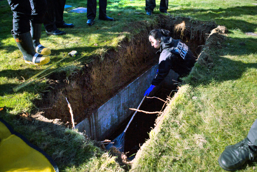 Lauren Higashino, a pathology assistant with the Snohomish County Medical Examiner’s Office, rakes through water for any left over remains during an exhumation of Cypress Lawn cemetery on Oct. 17, 2018 in Everett. (Olivia Vanni / Herald file)
