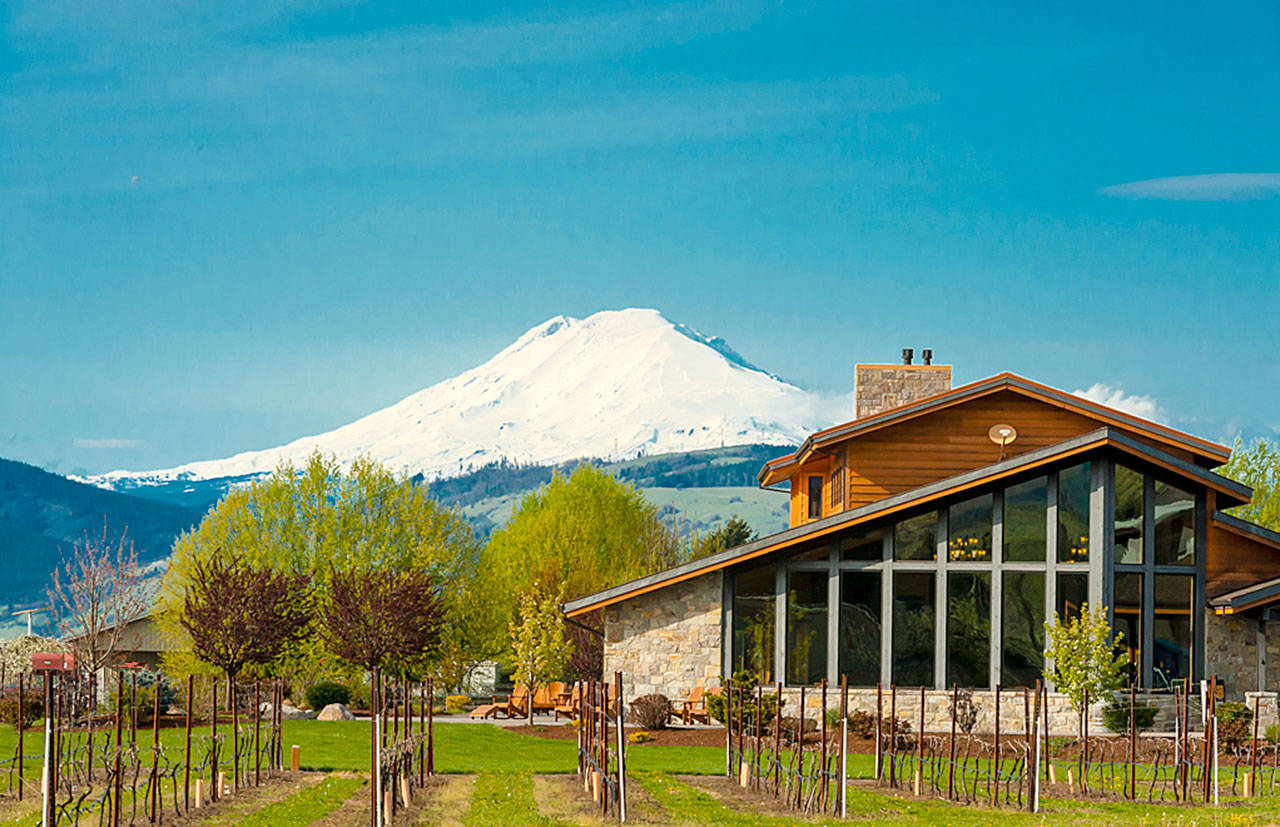 Mount Adams looms over Mt. Hood Winery in the Columbia Gorge, which works with winemaker Rich Cushman and uses estate fruit to produce some of the Pacific Northwest’s most delicious wines year after year. (Richard Duval Images)