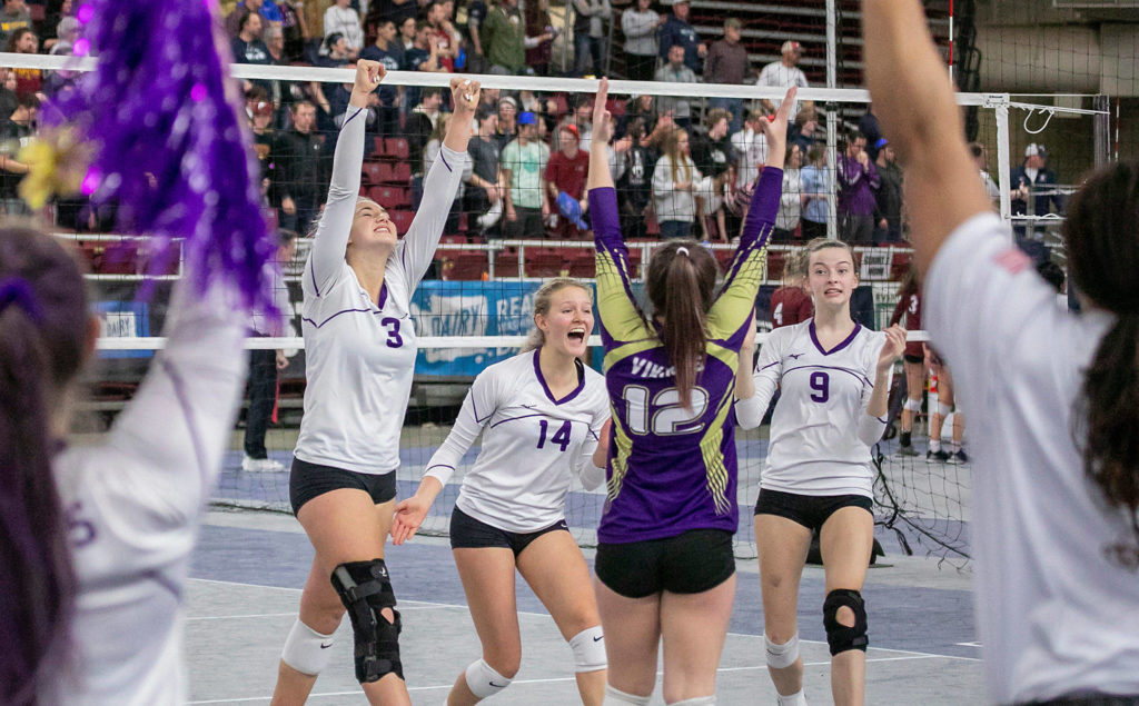 Lake Stevens players cheer after coming back and tying Tahoma late in the third set of the 4A state volleyball championship match on Nov. 23, 2019, at the Yakima Valley SunDome. (TJ Mullinax / for The Herald)
