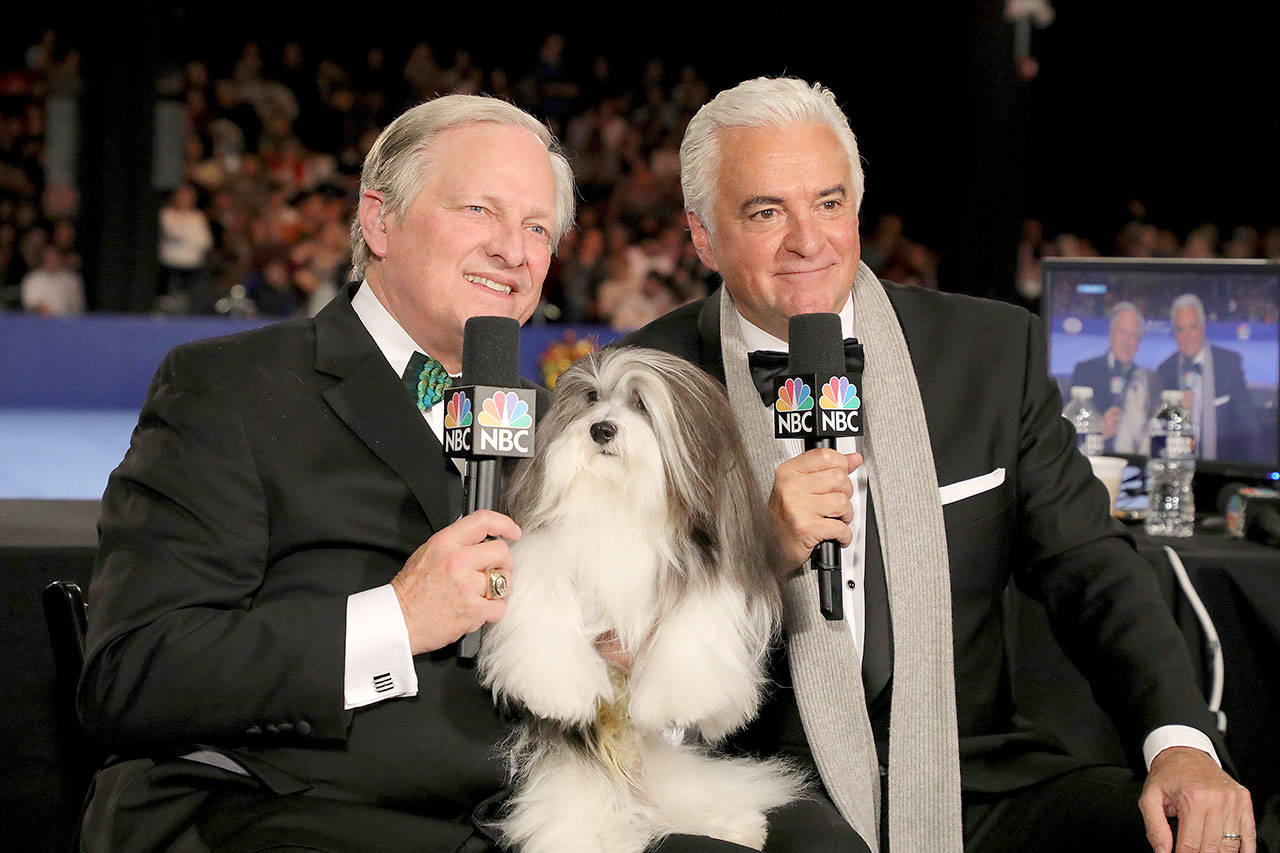 This image released by NBC shows David Frei, left, and host John O’Hurley posing with a havanese dog at The National Dog Show in Philadelphia. (Bill McCay/NBC via AP)