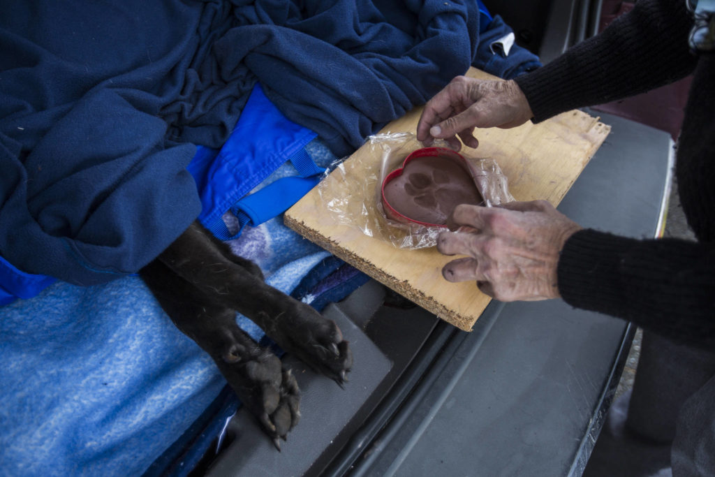 David Haarsager takes a heart-shaped clay paw print impression of Sprite, a 12-year-old dog that passed away in Lynnwood. (Olivia Vanni / The Herald)
