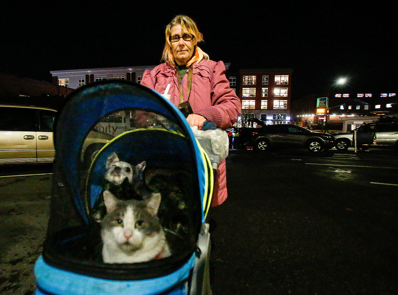 A 55-year-old woman wheels two cats and three small dogs in a stroller near the Everett Public Library. Staying in her broken down vehicle at the time, she had come for help offered by MercyWatch. (Dan Bates / The Herald)
