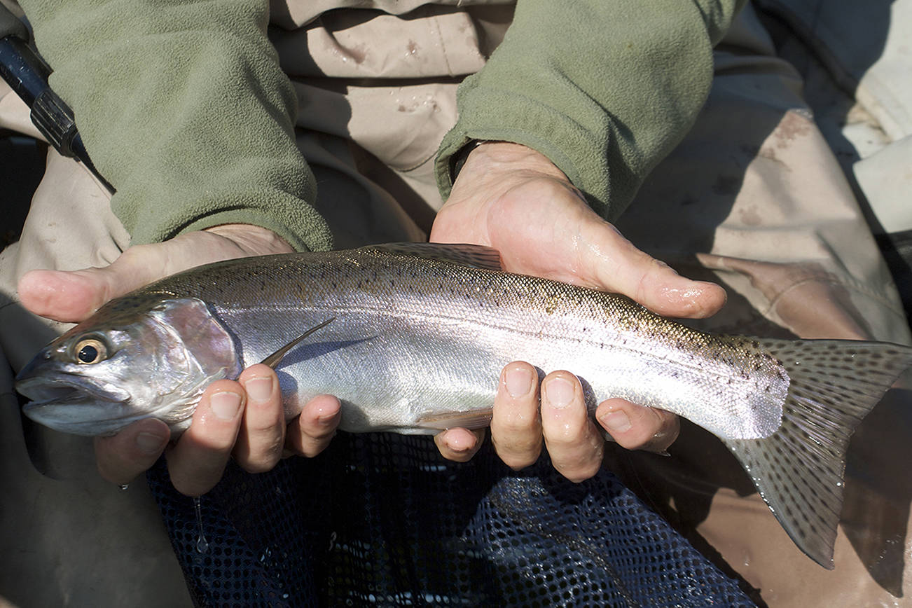 Pass Lake in Skagit County can be challenging, but rewarding