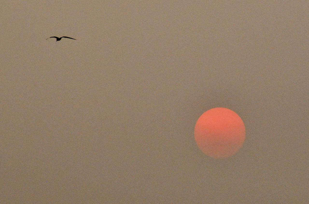 Wildfire smoke obliterates the sun in Everett in 2018. (Sue Misao / The Herald)