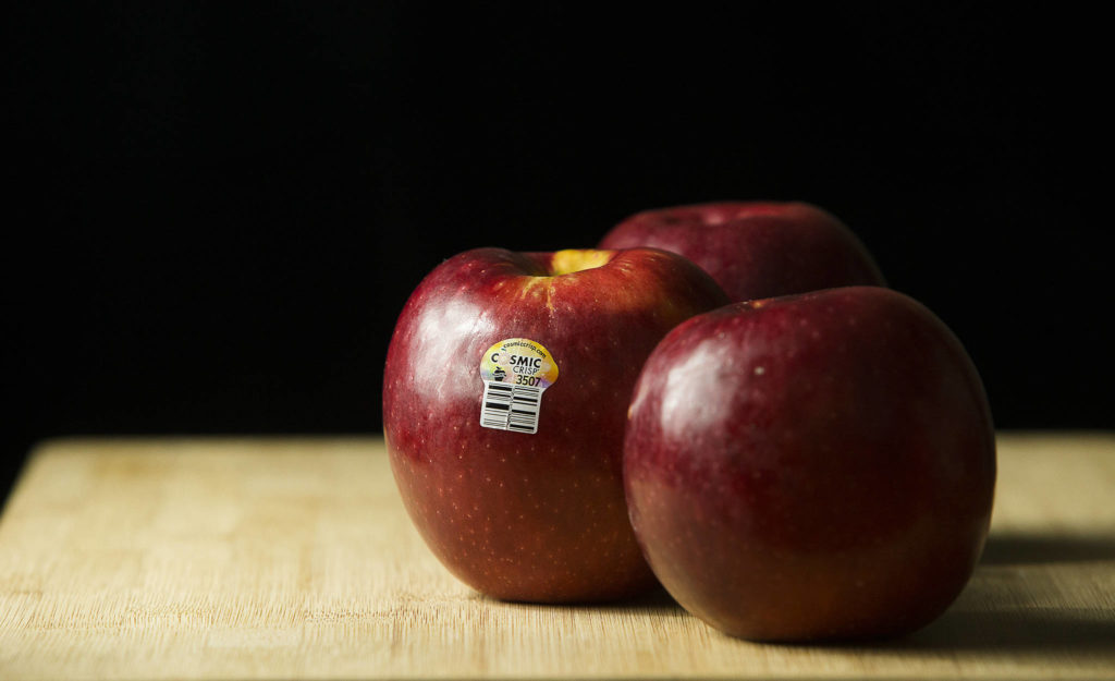 Scientists at Washington State University’s Tree Fruit Research Center in Wenatchee spent two decades developing the Cosmic Crisp apple. (Andy Bronson / The Herald)
