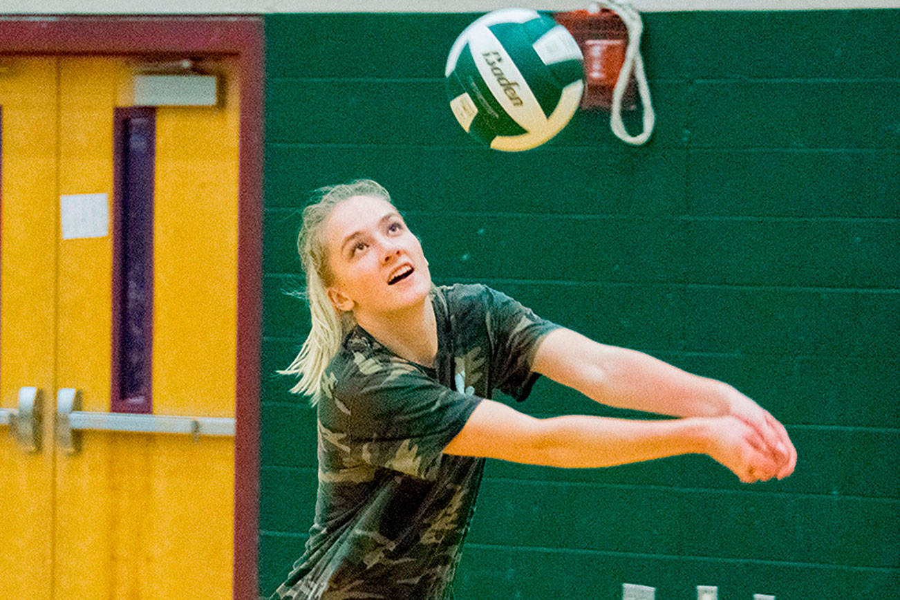 The Herald’s 2019 All-Area volleyball teams
