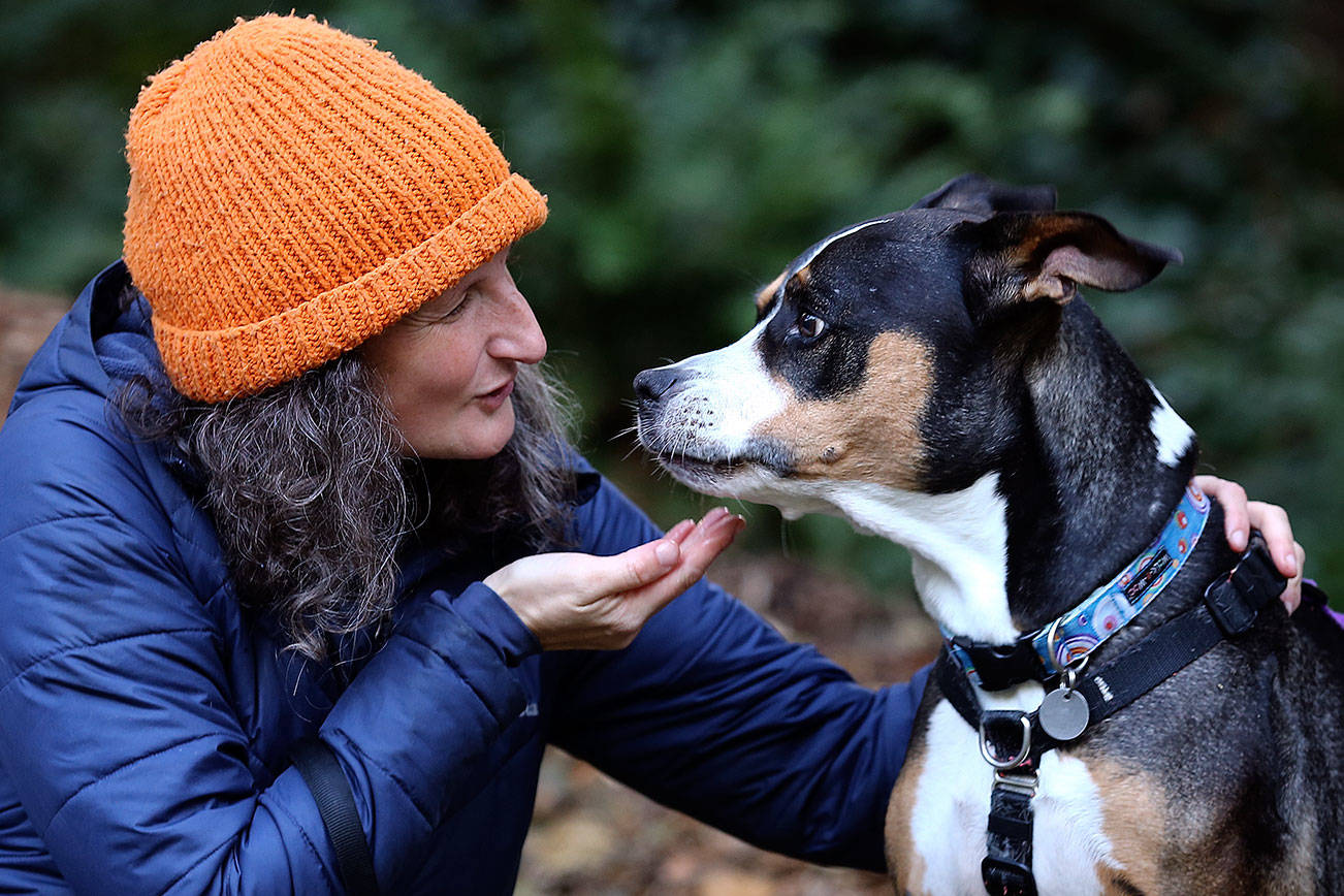 Pamela Alt and Archibald at Yost Park in Edmonds are part of a University of Washington study. (Kevin Clark / The Herald)