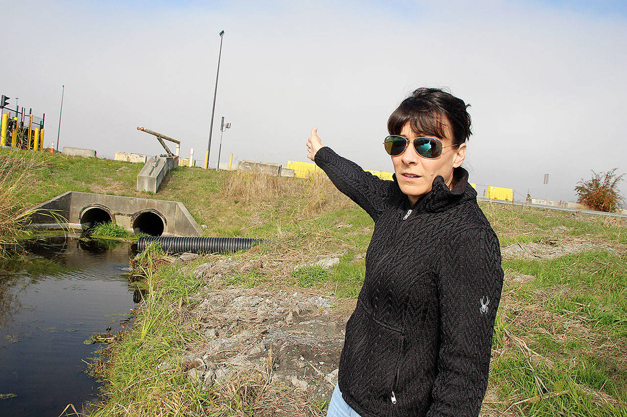This 2018 photo shows Jaime Jensen, Naval Facilities Engineering Command environmental water program manager, pointing to a creek that flows off base in which toxic firefighting foam chemicals were found. (Laura Guido / Whidbey News-Times)