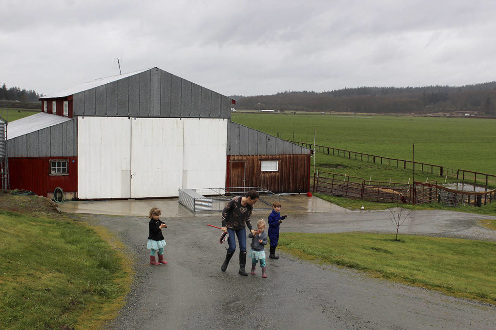 North Whidbey Farm has been in the Christensen family since 1935. (Whidbey News-Times, file)
