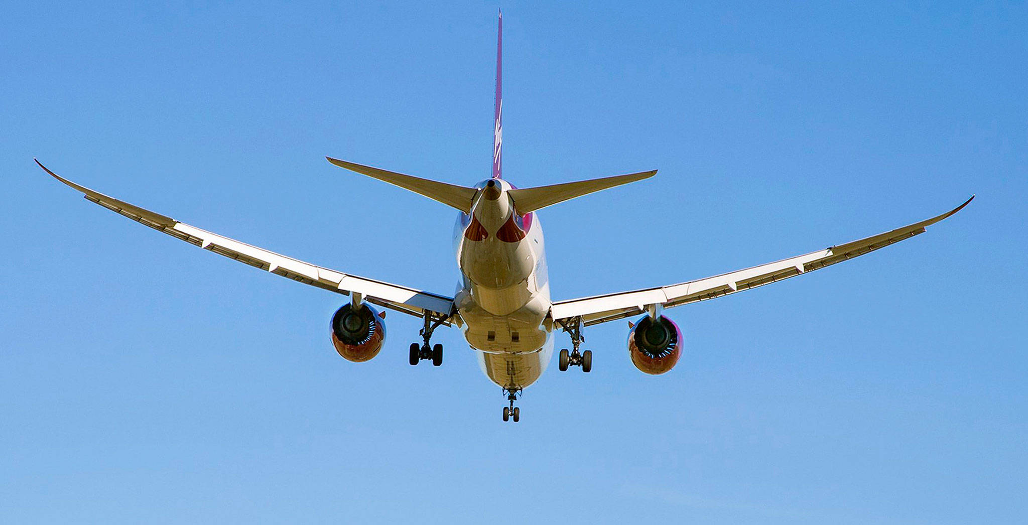 The wings of a 787-9 jet flex as it arrives at Seattle-Tacoma International Airport in 2018. (Mike Siegel/Seattle Times/TNS)