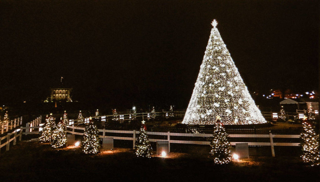 The National Christmas Tree is at the center of a display in President’s Park near the White House. Fifty-six smaller trees include ornaments made by students from across the country. The display includes a tree with paintings by Cavelero Mid High School artists from Lake Stevens. (National Park Foundation)
