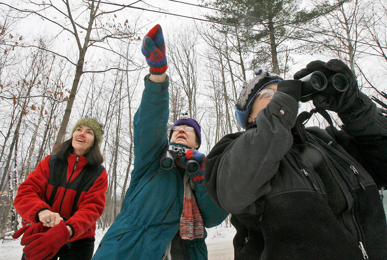 Jeannie Elias (from left), Mary Spencer, and Alison Wagner look for birds in Fayston, Vermont, as they take part in The National Audubon Society’s annual Christmas Bird Count in 2008. (AP Photo/Toby Talbot, File)