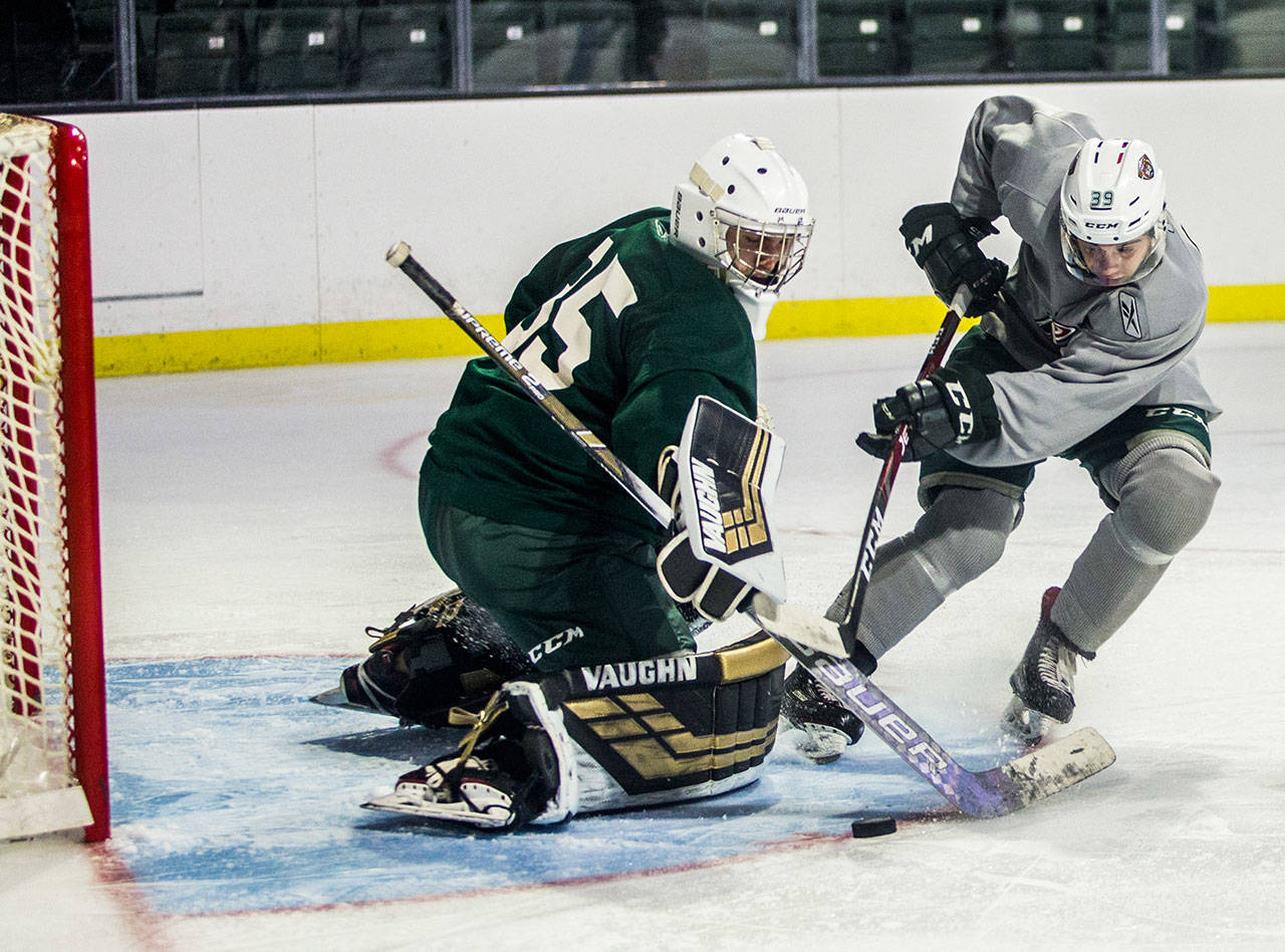 Silvertips goalie Keegan Karki (left) defends a shot by Gage Gonclaves during the annual Green and Grey scrimmage on Aug. 25, 2019 in Everett. (Olivia Vanni / The Herald)