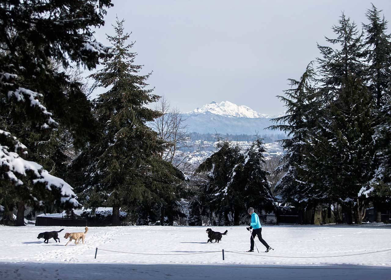 With Three Fingers Mountain in the background, Hap Wertheimer cross-country skis at Legion Memorial Golf Course in Everett. (Olivia Vanni/Herald file)