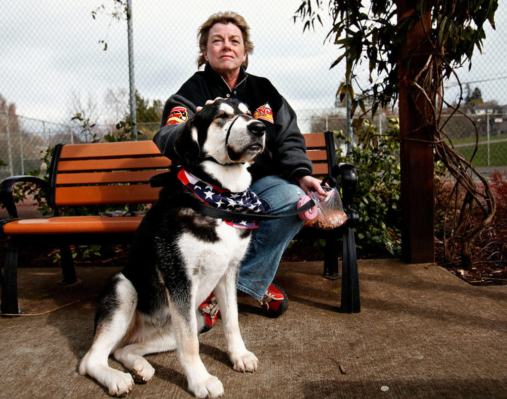 In 2012, Everett’s Debbie Schmitz visited a local park with LuLu, a Central Asian shepard that her daughter, an Army officer, sent home from Afghanistan. Since then, an Arlington couple who read about the dog has reconnected with a nephew, who is married to Schmitz’s daughter. (Dan Bates / The Herald 2012)
