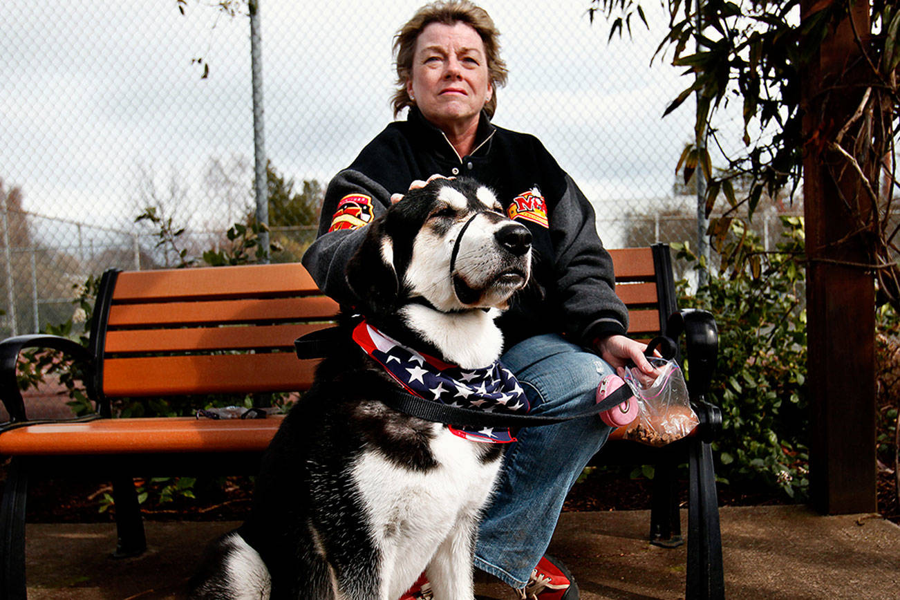 In 2012, Everett’s Debbie Schmitz visited a local park with LuLu, a Central Asian shepard that her daughter, an Army officer, sent home from Afghanistan. Since then, an Arlington couple who read about the dog has reconnected with a nephew, who is married to Schmitz’s daughter. (Dan Bates / The Herald 2012)