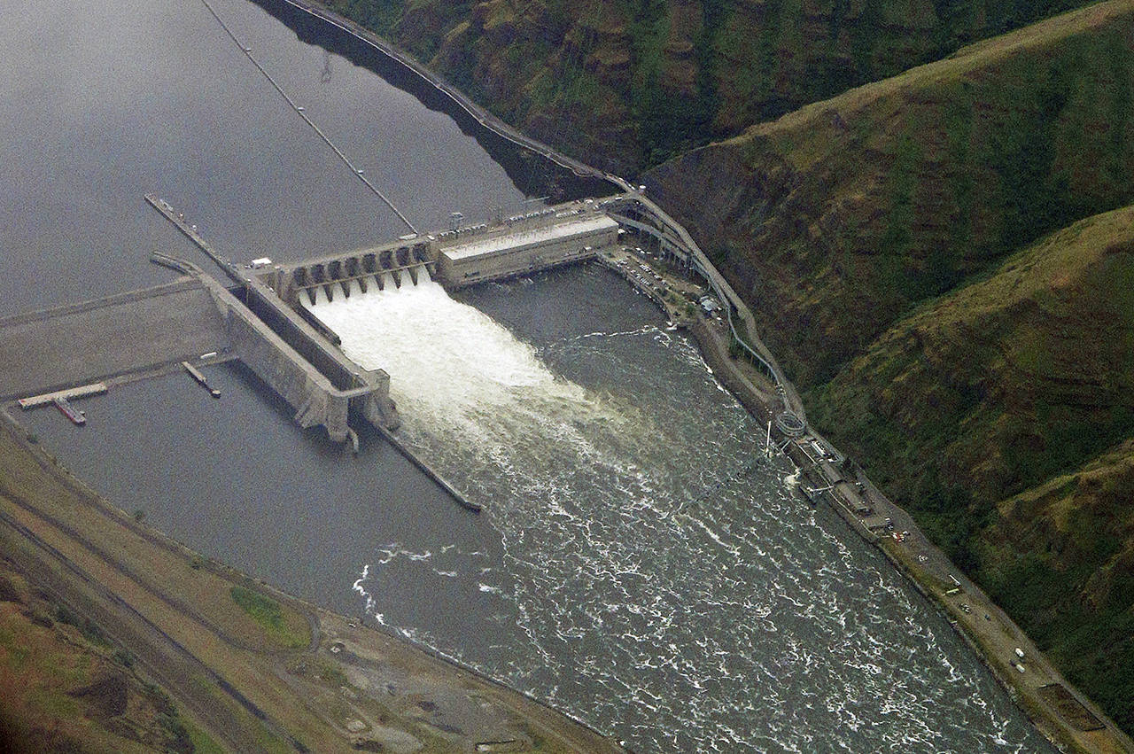 In this May 15 photo, the Lower Granite Dam on the Snake River is seen from the air near Colfax. (AP Photo/Ted S. Warren, file)