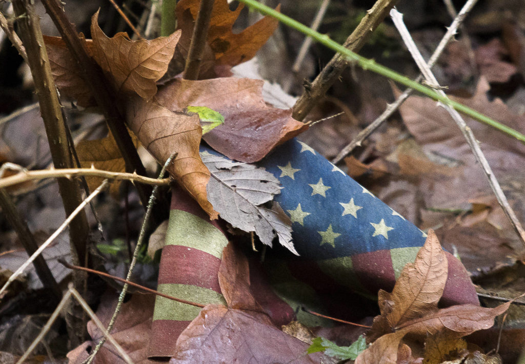 An American flag rests at the spot of a crash, 10 years later, that left one young man paralyzed and killed another. (Andy Bronson / The Herald)
