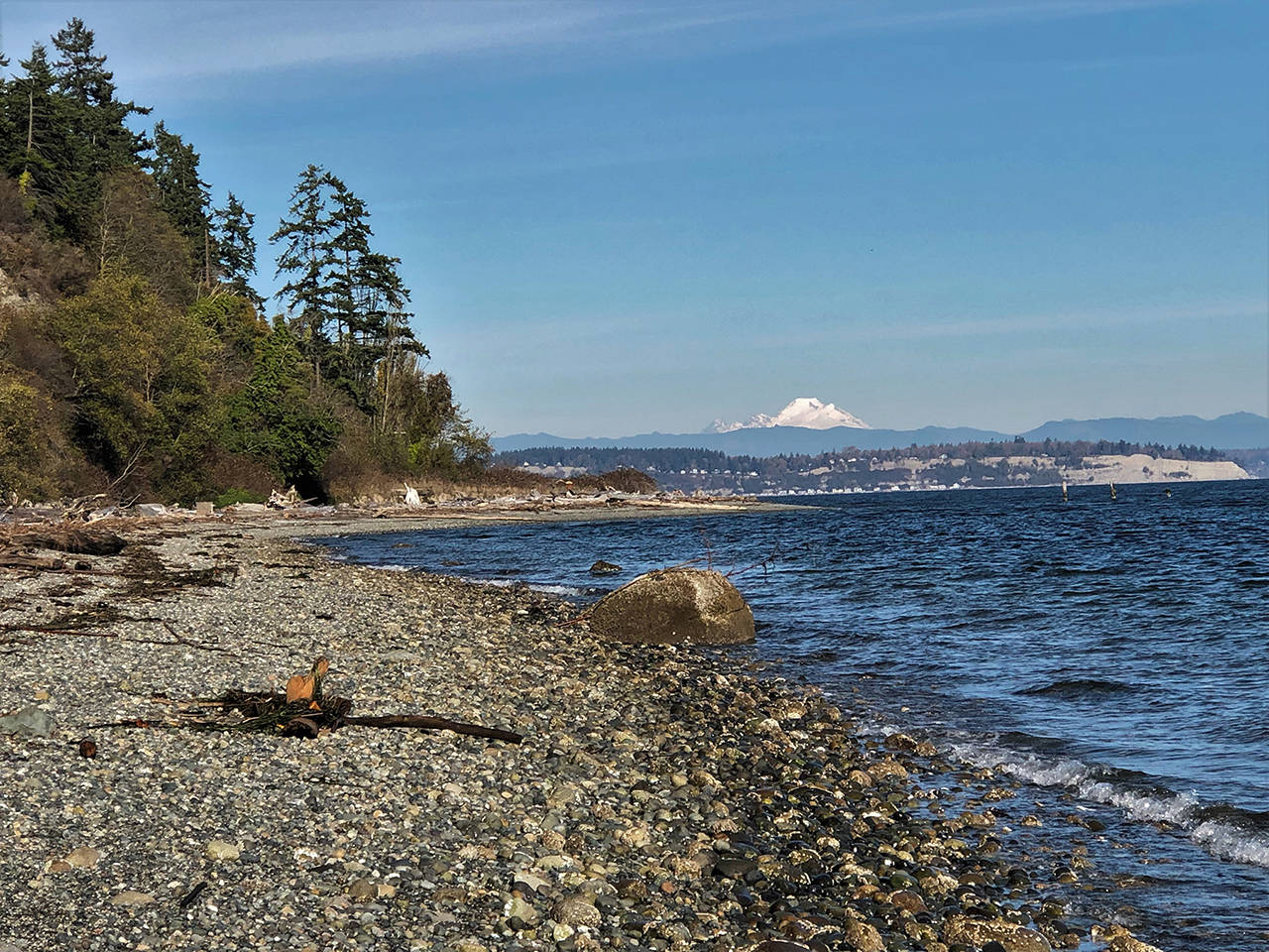 A 54-acre property just south of Clinton on Whidbey will open to the public in 2020 as the Whidbey Camano Land Trust’s newest project, Possession Sound Preserve. <em>(Source: Whidbey Camano Land Trust) </em>