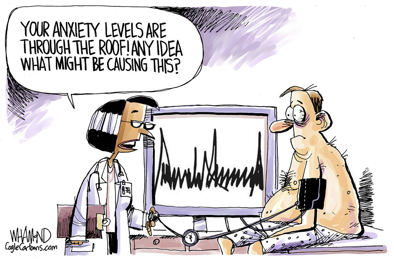 2019’s best editorial cartoons: Part 1 of 4