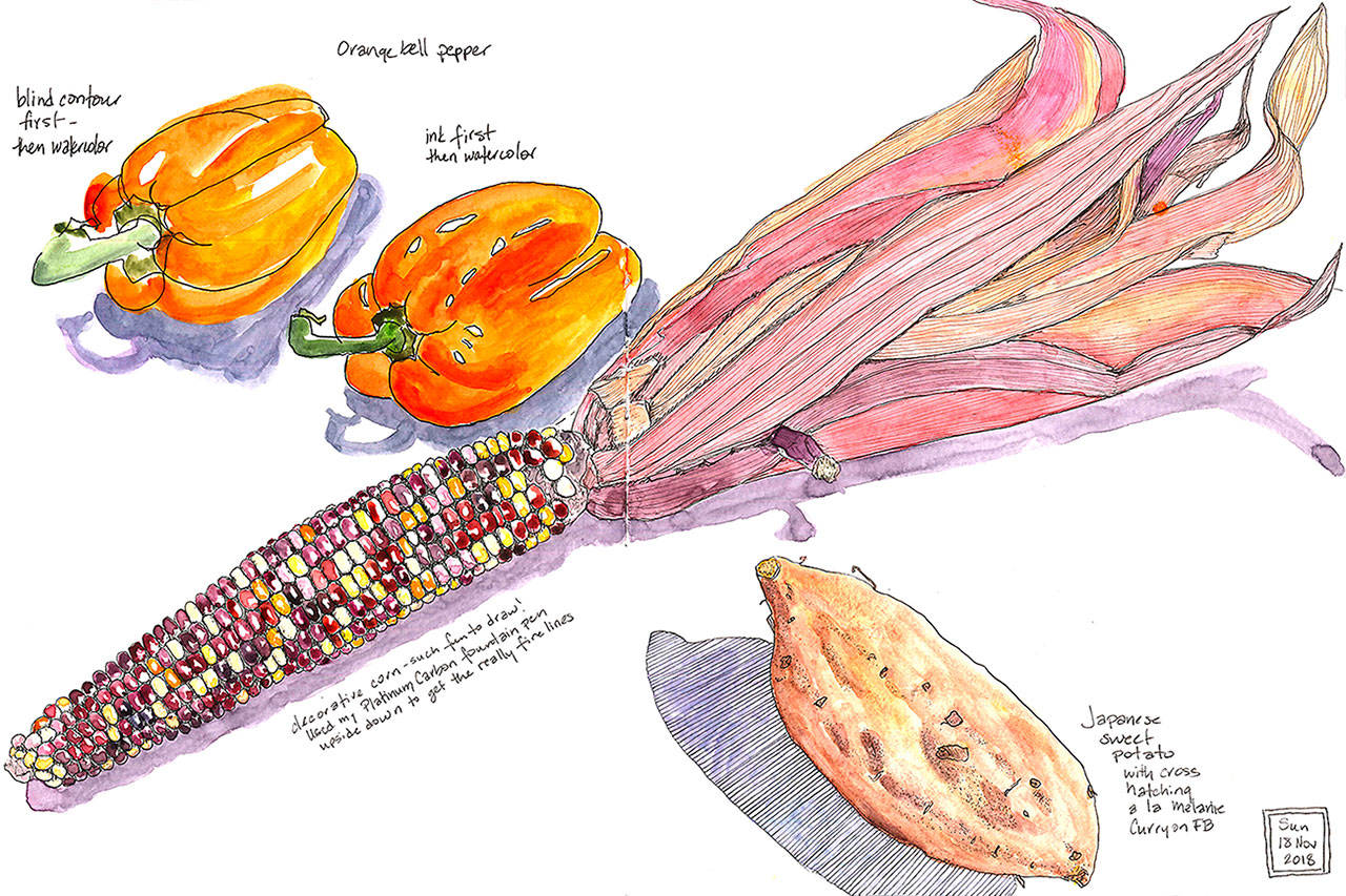 Anya Toomre’s “Veggies” sketch with watercolor and ink is an example of what students will draw in her “Playing with Your Food in a Sketchbook”workshop.