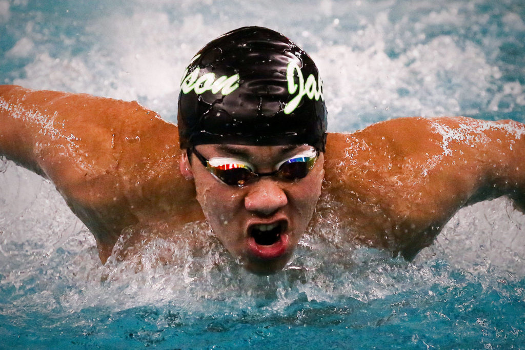 Jackson’s Daniel Teoh competes in the 100-yard butterfly during a meet against Shorewood on Tuesday afternoon at Shoreline Pool. (Kevin Clark / The Herald)
