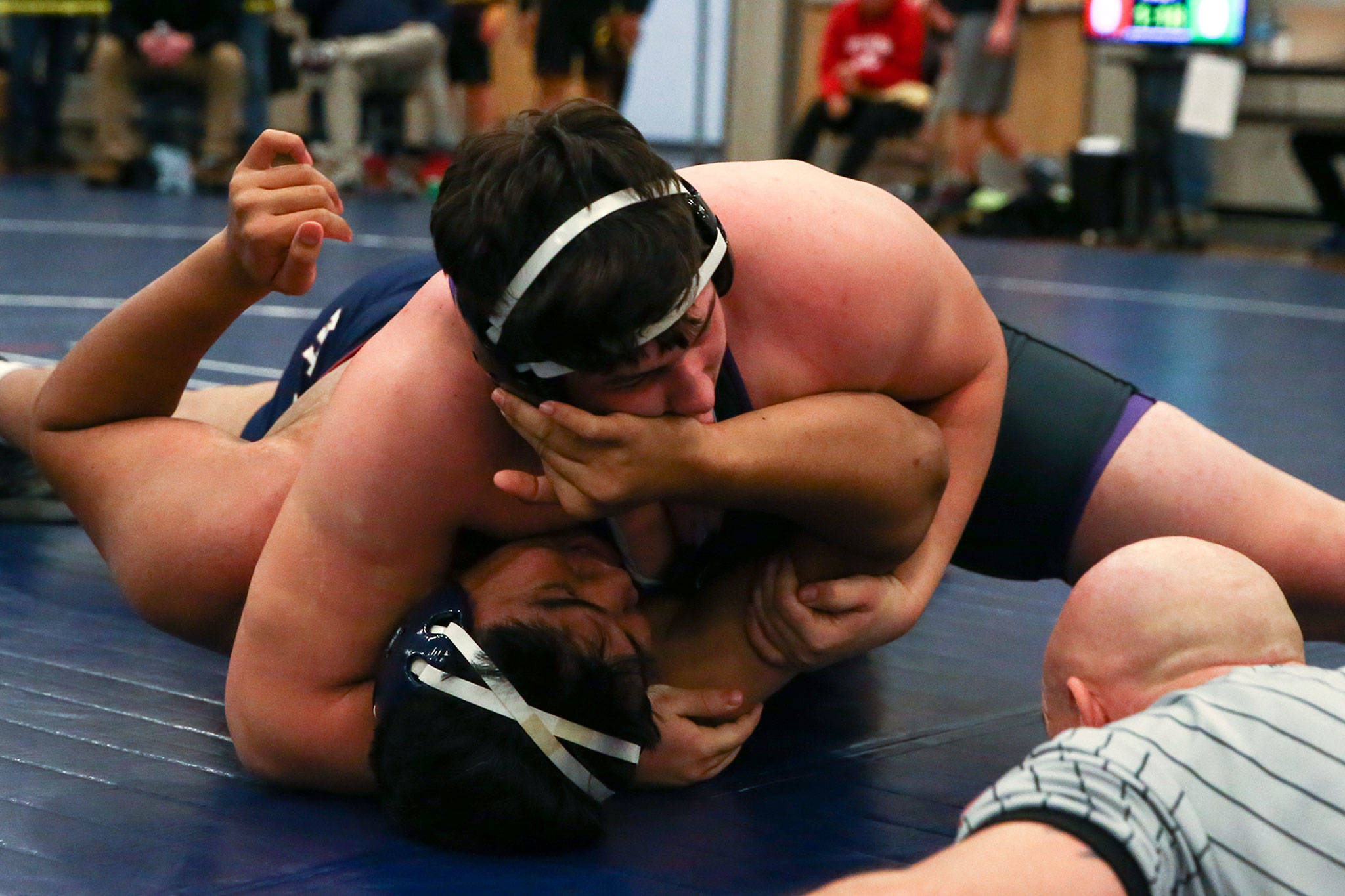 Lake Stevens’ Wyatt Hall pins Mt. Spokane’s Kingston Grey to win a 285-pound match at the Viking Invite on Saturday at Cavalero Mid High School in Lake Stevens. (Kevin Clark / The Herald)