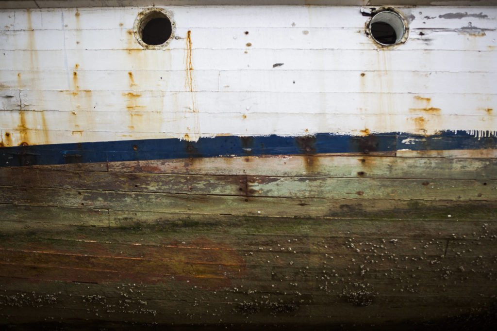 Peeling paint and barnacles along the hull of the Argosy on Friday in Tulalip. (Olivia Vanni / The Herald)
