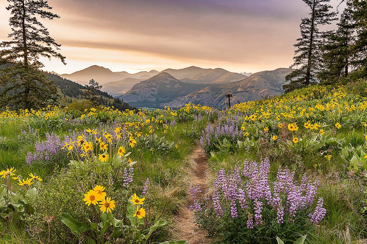 Six magnificent views from Washington’s backcountry trails