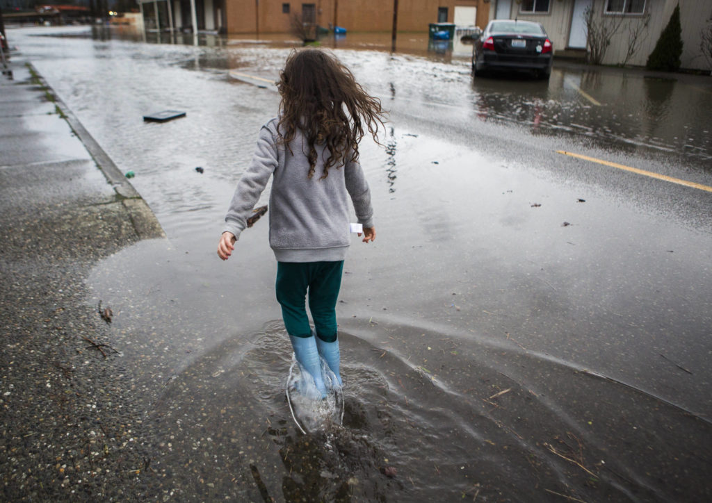 Savannah Neel walks through flood water on Main Street on Saturday in Sultan. (Olivia Vanni / The Herald)
