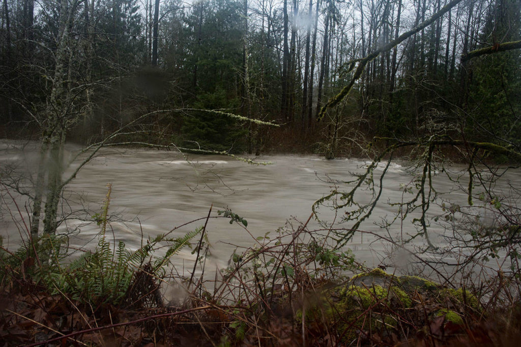 Water from the Sultan River heads toward downtown Sultan on Saturday. (Luke Hollister)
