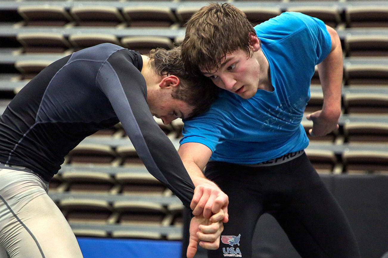 Darrington is small, but its high school wrestlers are mighty