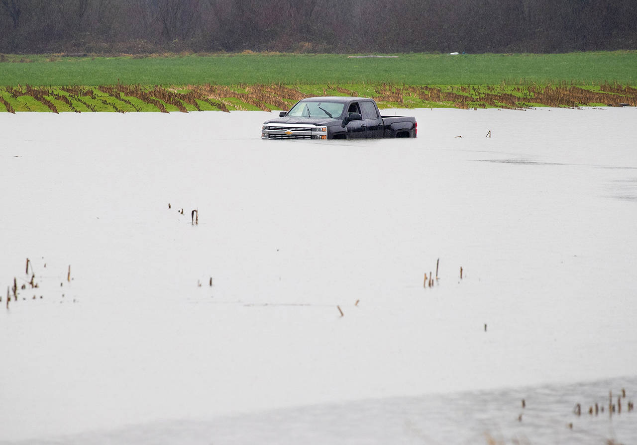 This truck is under water in a flooded field where the Crescent Lake Road crosses over the Snoqualmie River about 5 miles from Cathcart in Snohomish County on Thursday. (Mike Siegel/The Seattle Times via AP)