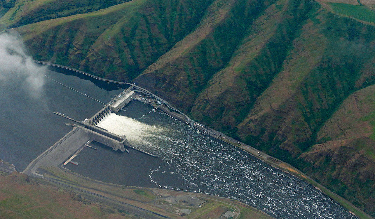 Lower Granite Dam on the Snake River, seen from the air near Colfax, Washington. (AP Photo/Ted S. Warren)