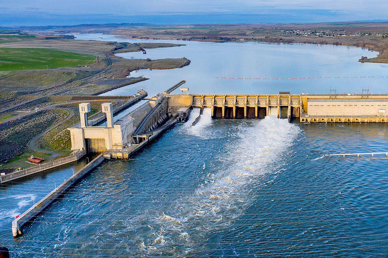 Feds reject removal of 4 Snake River dams in key report