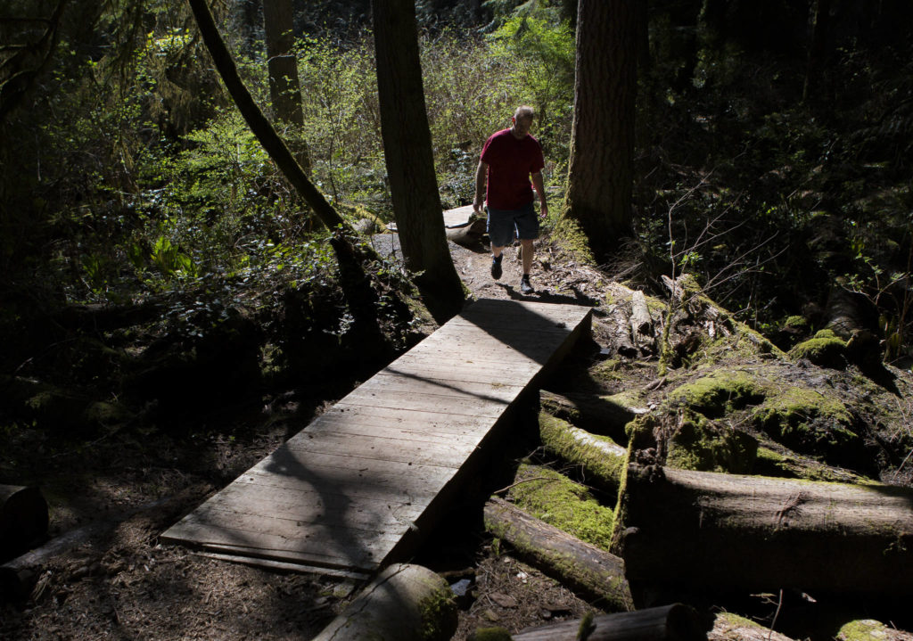 Greg Hill walks across some of the repaired boardwalks along the Wayne’s World Trail at Lord Hill Regional Park on April 4, 2019 in Snohomish. (Olivia Vanni / Herald file)
